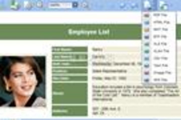 DevExpress Silverlight Controls预览：